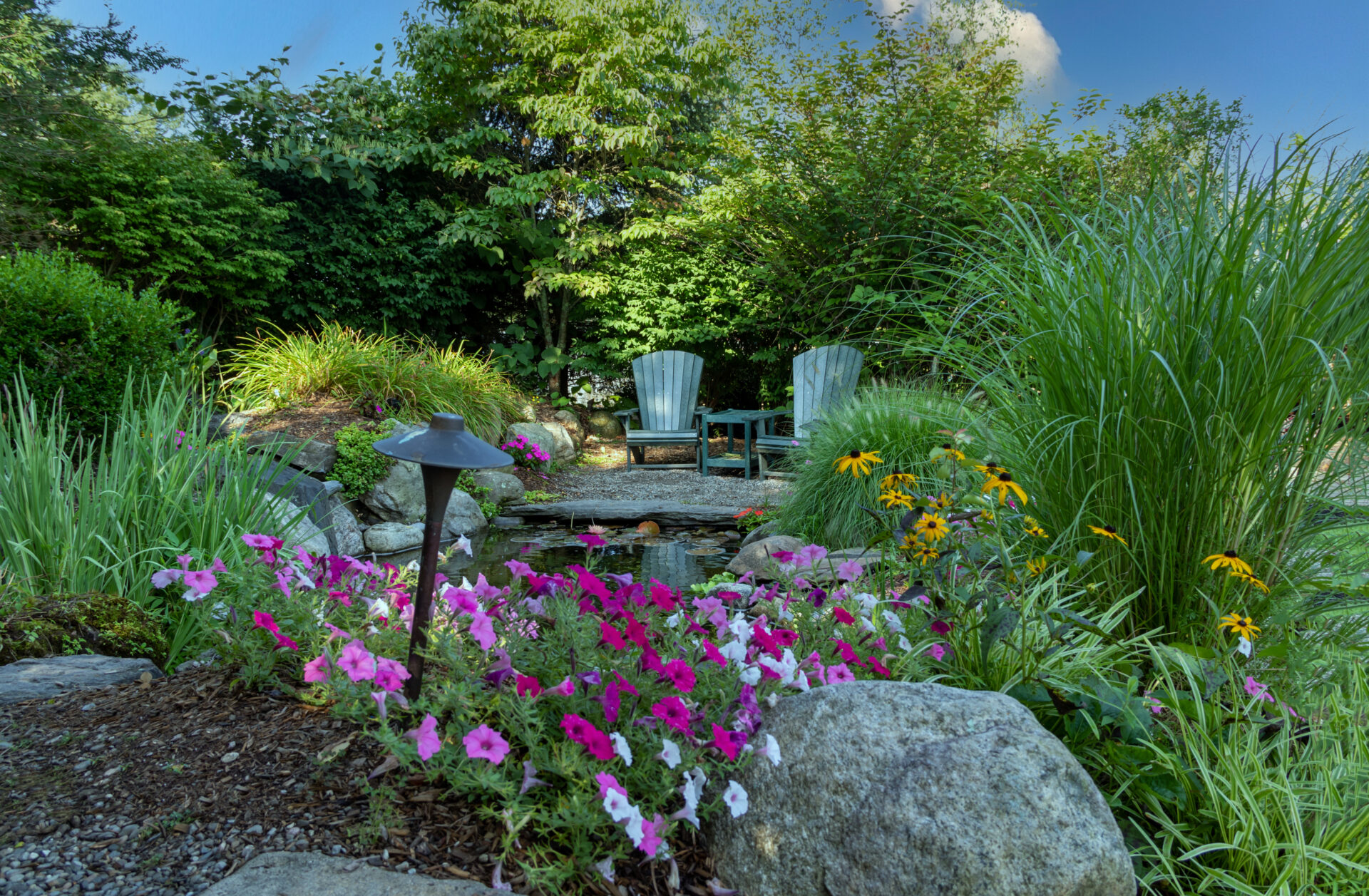 Landscape architecture with pink flowers and ornamental grasses for summer garden with water feature